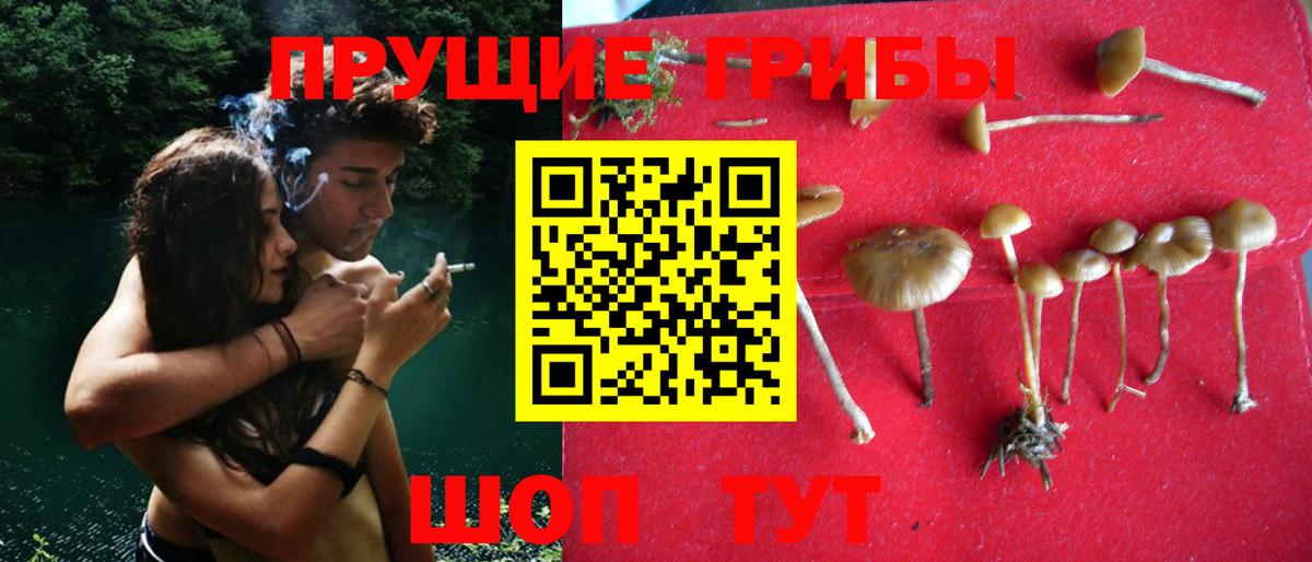 Галлюциногенные грибы мицелий Ивантеевка