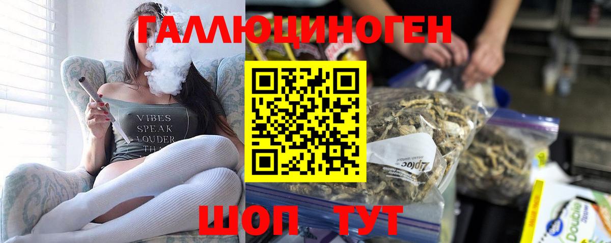 Ивантеевка  Галлюциногенные грибы прущие грибы  Вход с VPN 